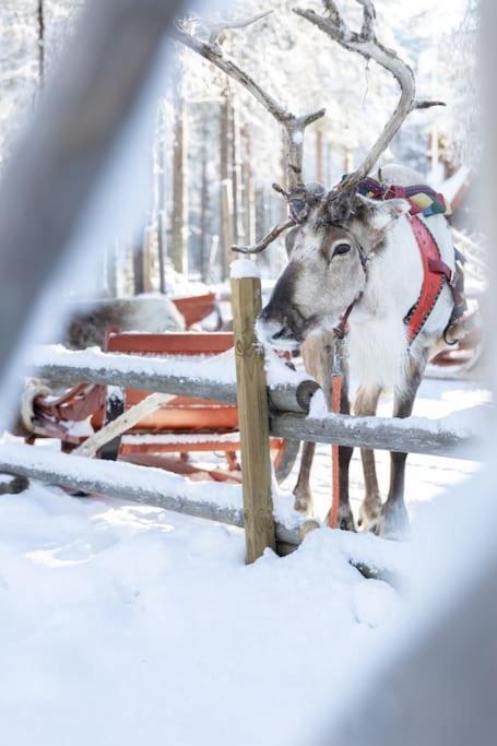 Arctic Circle Home Close To Santa'S Village Рованиеми Екстериор снимка