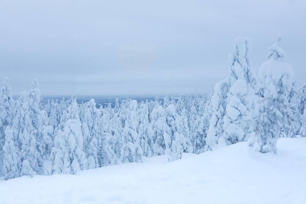 Arctic Circle Home Close To Santa'S Village Рованиеми Екстериор снимка